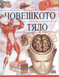 Човешкото тяло