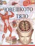 Човешкото тяло