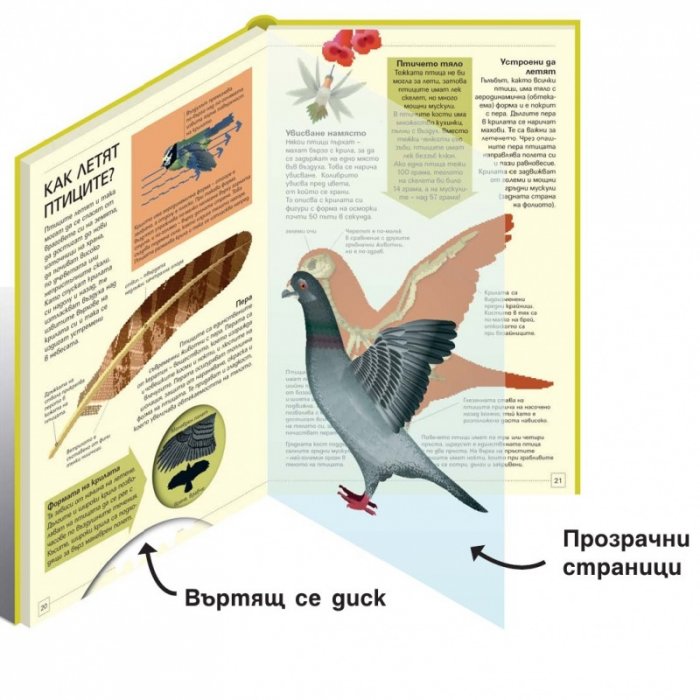 Животните. Интерактивна енциклопедия