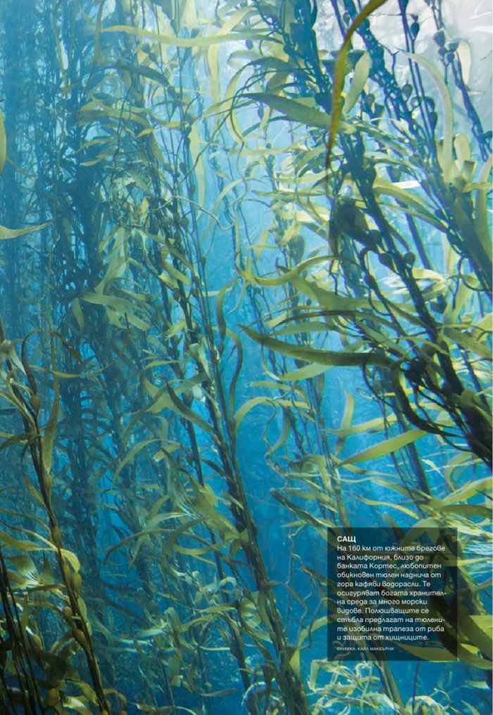 National Geographic 5/2014