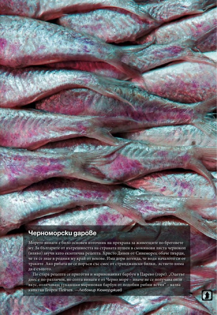 National Geographic 5/2014