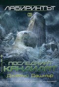 Лабиринтът 3: Последният кандидат