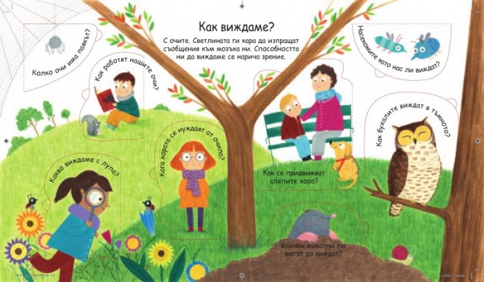 Първи въпроси и отговори: Как виждаме, как чуваме?
