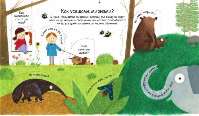Първи въпроси и отговори: Как виждаме, как чуваме?