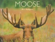 Moose