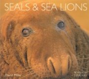 Seals & Sea Lions