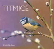 Titmice