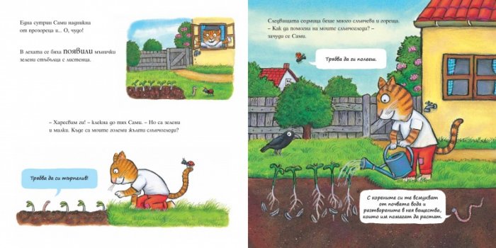 Котарачето Сами посява слънчоглед