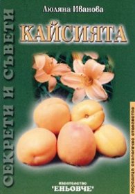 Кайсията