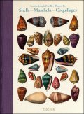 Dezallier d'Argenville, Shells