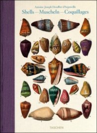 Dezallier d'Argenville, Shells