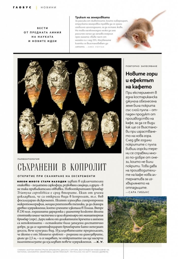 National Geographic България Февруари/2022
