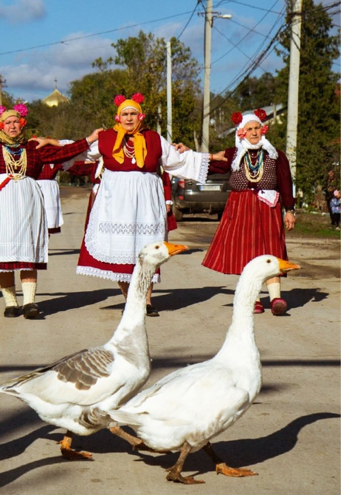 National Geographic България Февруари/2022