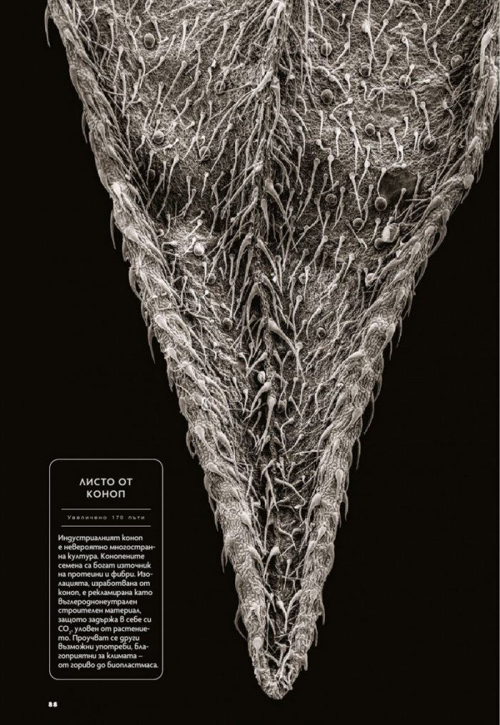 National Geographic България Февруари/2022