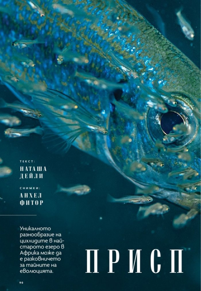 National Geographic България Февруари/2022