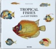 Tropical Fishes of The East Indies