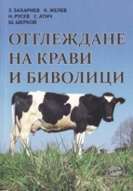 Отглеждане на крави и биволици