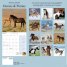 Calendar 2018: Horses & Ponies