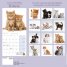 Calendar 2018: Kittens